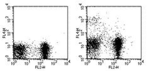 CD11c Monoclonal Antibody (N418), APC, eBioscience