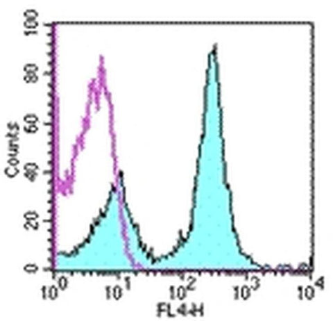 CD16/CD32 Monoclonal Antibody (93), APC, eBioscience