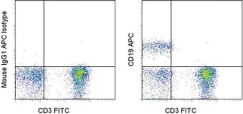 CD19 Monoclonal Antibody (SJ25C1), APC, eBioscience