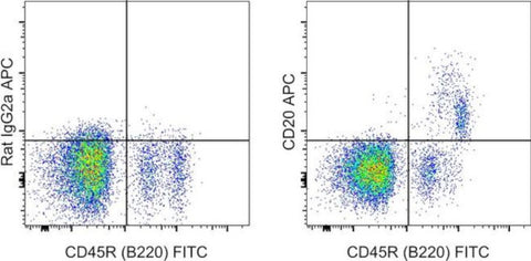 CD20 Monoclonal Antibody (QCH6A7), APC, eBioscience