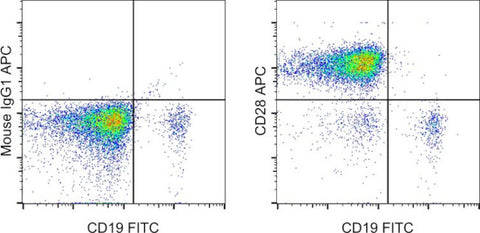 CD28 Monoclonal Antibody (CD28.2), APC, eBioscience