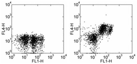 CD31 (PECAM-1) Monoclonal Antibody (390), APC, eBioscience