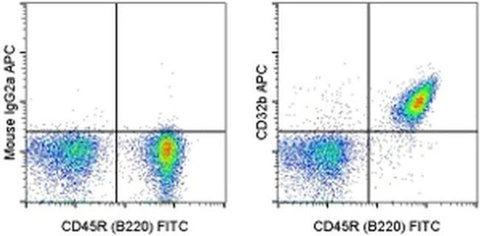 CD32b Monoclonal Antibody (AT130-2), APC, eBioscience