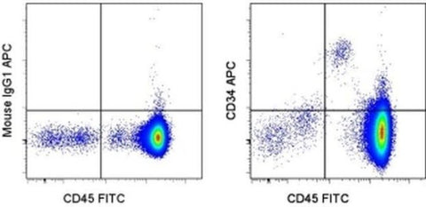 CD34 Monoclonal Antibody (4H11), APC, eBioscience