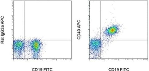 CD40 Monoclonal Antibody (1C10), APC, eBioscience