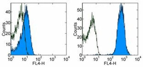 CD45.1 Monoclonal Antibody (A20), APC, eBioscience