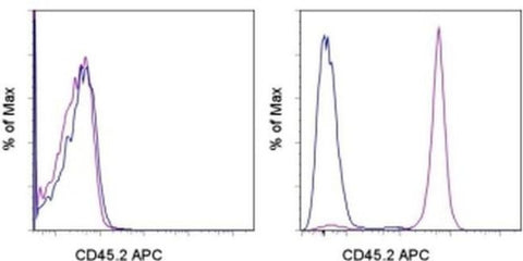 CD45.2 Monoclonal Antibody (104), APC, eBioscience