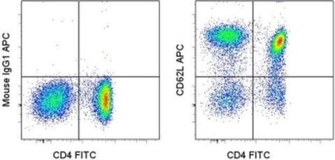 CD62L (L-Selectin) Monoclonal Antibody (DREG-56 (DREG56)), APC, eBioscience