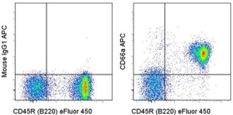 CD66a (CEACAM1) Monoclonal Antibody (CC1), APC, eBioscience