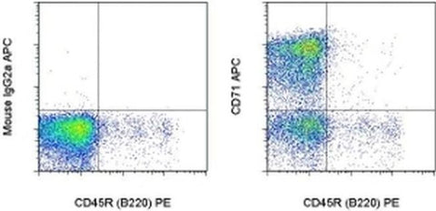 CD71 (Transferrin Receptor) Monoclonal Antibody (OX26), APC, eBioscience
