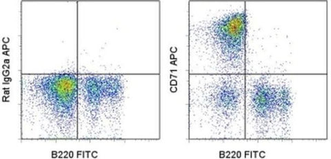 CD71 (Transferrin Receptor) Monoclonal Antibody (R17217 (RI7 217.1.4)), APC, eBioscience