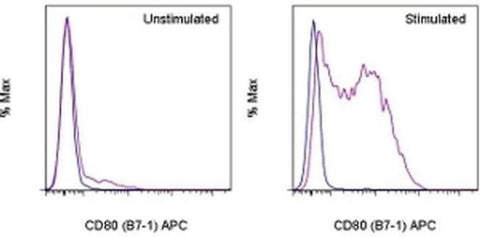 CD80 (B7-1) Monoclonal Antibody (16-10A1), APC, eBioscience