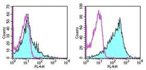 CD86 (B7-2) Monoclonal Antibody (GL1), APC, eBioscience