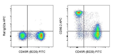 CD90.2 (Thy-1.2) Monoclonal Antibody (53-2.1), APC, eBioscience