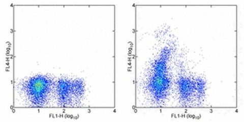 CD117 (c-Kit) Monoclonal Antibody (ACK2), APC, eBioscience