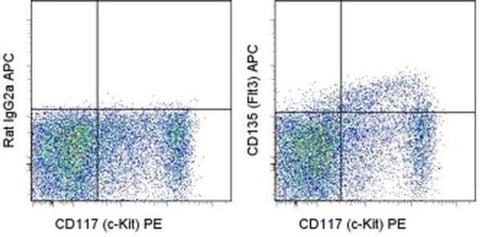 CD135 (Flt3) Monoclonal Antibody (A2F10), APC, eBioscience