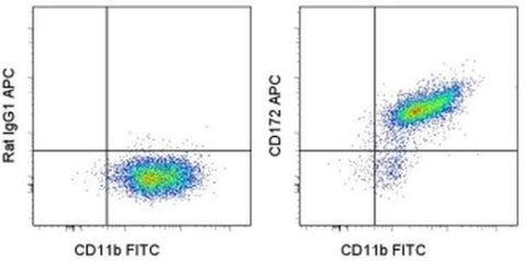 CD172a (SIRP alpha) Monoclonal Antibody (P84), APC, eBioscience