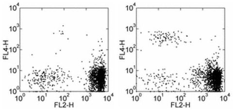 CD193 (CCR3) Monoclonal Antibody (eBio5E8-G9-B4 (5E8-G9-B4)), APC, eBioscience