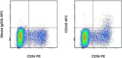 CD336 (NKp44) Monoclonal Antibody (44.189), APC, eBioscience