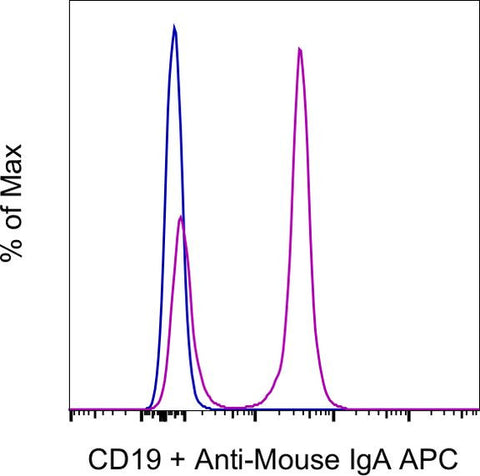 IgA Monoclonal Antibody (mA-6E1), APC, eBioscience