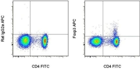 FOXP3 Monoclonal Antibody (PCH101), APC, eBioscience