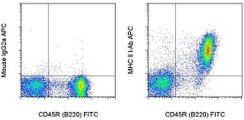 MHC Class II I-Ab Monoclonal Antibody (AF6-120.1), APC, eBioscience