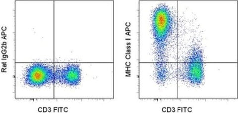 MHC Class II (I-A/I-E) Monoclonal Antibody (M5/114.15.2), APC, eBioscience