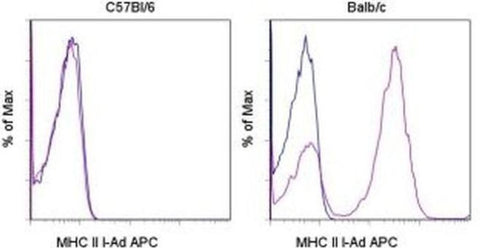 MHC Class II I-Ad Monoclonal Antibody (AMS-32.1), APC, eBioscience