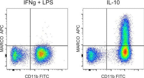 MARCO Monoclonal Antibody (PLK-1), APC, eBioscience