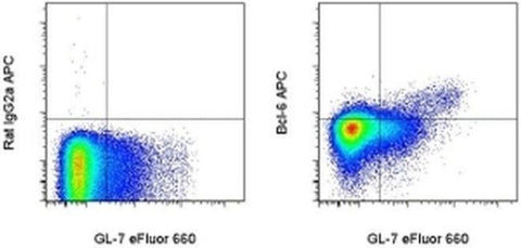 BCL6 Monoclonal Antibody (BCL-DWN), APC, eBioscience