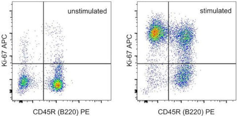 Ki-67 Monoclonal Antibody (SolA15), APC, eBioscience