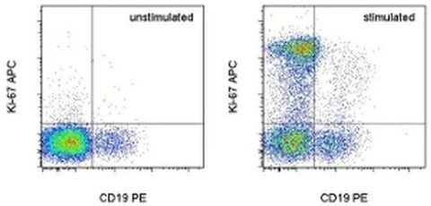 Ki-67 Monoclonal Antibody (20Raj1), APC, eBioscience