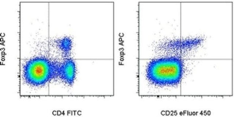 FOXP3 Monoclonal Antibody (FJK-16s), APC, eBioscience