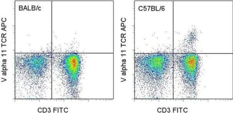 TCR V alpha 11 Monoclonal Antibody (RR8-1), APC, eBioscience