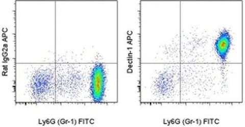 CD369 (Clec7a, Dectin-1) Monoclonal Antibody (bg1fpj), APC, eBioscience