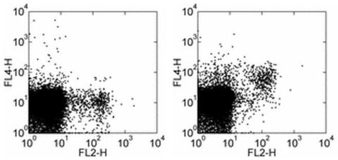 CD314 (NKG2D) Monoclonal Antibody (CX5), APC, eBioscience