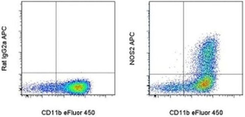 iNOS Monoclonal Antibody (CXNFT), APC, eBioscience