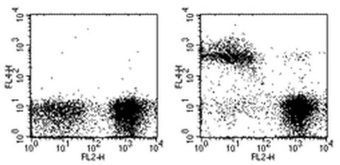 TER-119 Monoclonal Antibody (TER-119), APC, eBioscience