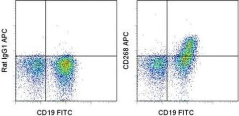 CD268 (BAFF Receptor) Monoclonal Antibody (eBio7H22-E16), APC, eBioscience