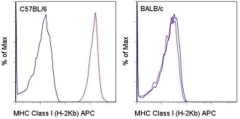 MHC Class I (H-2Kb) Monoclonal Antibody (AF6-88.5.5.3), APC, eBioscience