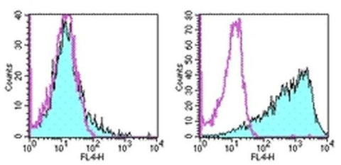 Ly-6A/E (Sca-1) Monoclonal Antibody (D7), APC, eBioscience