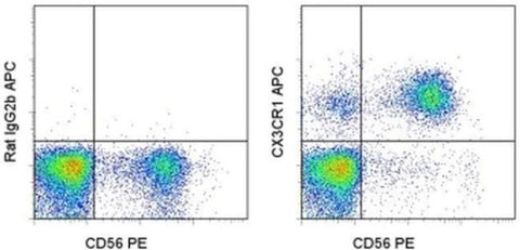 CX3CR1 Monoclonal Antibody (2A9-1), APC, eBioscience