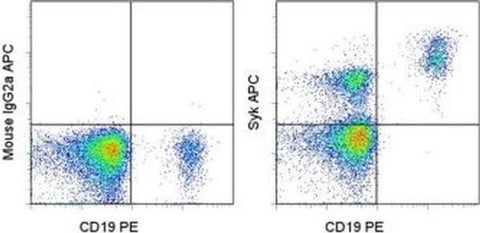 Syk Monoclonal Antibody (4D10.1), APC, eBioscience