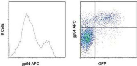 Baculovirus Envelope gp64 Monoclonal Antibody (AcV1), APC, eBioscience