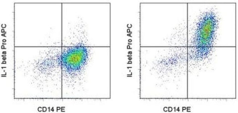IL-1 beta (Pro-form) Monoclonal Antibody (NJTEN3), APC, eBioscience
