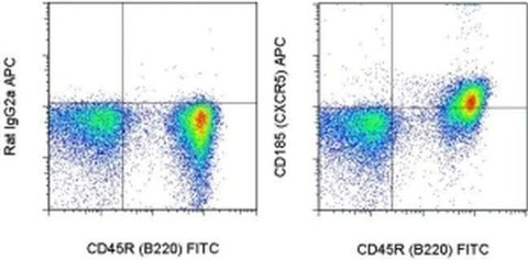 CD185 (CXCR5) Monoclonal Antibody (SPRCL5), APC, eBioscience