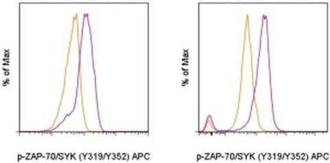 Phospho-ZAP70/Syk (Tyr319, Tyr352) Monoclonal Antibody (n3kobu5), APC, eBioscience