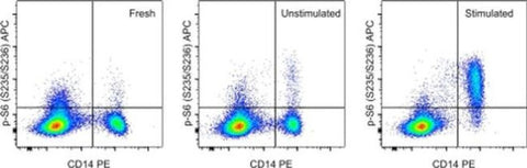 Phospho-S6 (Ser235, Ser236) Monoclonal Antibody (cupk43k), APC, eBioscience