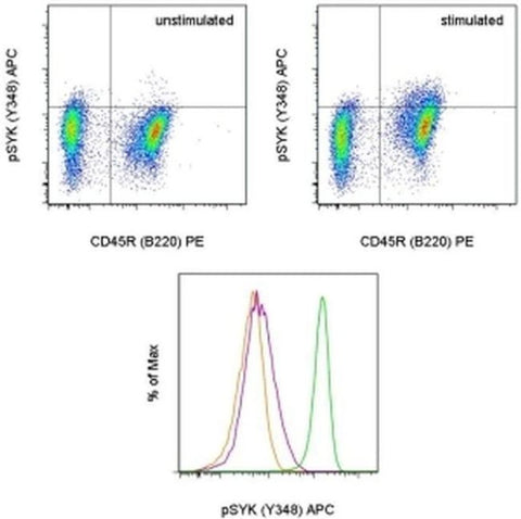 Phospho-Syk (Tyr348) Monoclonal Antibody (moch1ct), APC, eBioscience