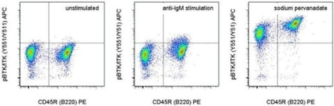 Phospho-BTK/ITK (Tyr551, Tyr511) Monoclonal Antibody (M4G3LN), APC, eBioscience